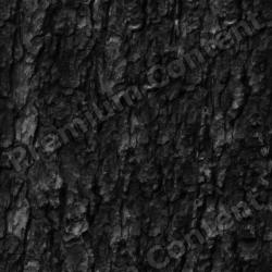 Seamless Tree Bark